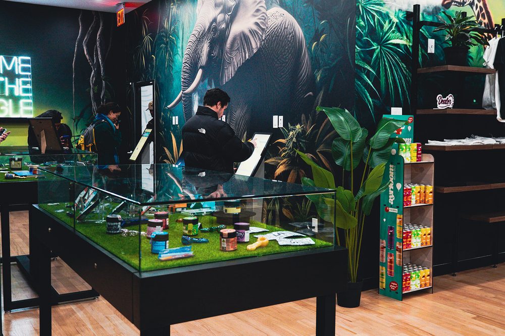 Glass product display case with elephant mural inside Jungle Kingdom Flower Bed-Stuy dispensary